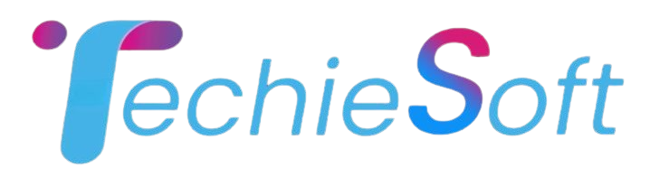 TechieSoft Logo